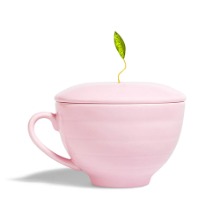 카페 컵 핑크